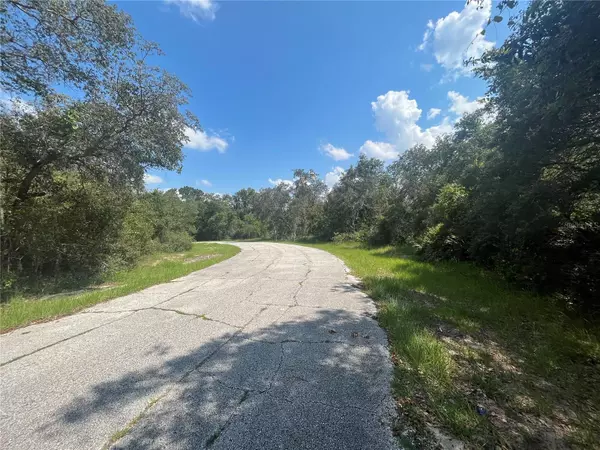 Poinciana, FL 34759,MEDITERRANEAN CT