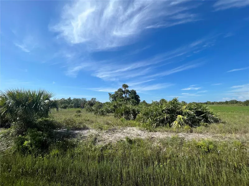 20170 NW 280TH ST, Okeechobee, FL 34972