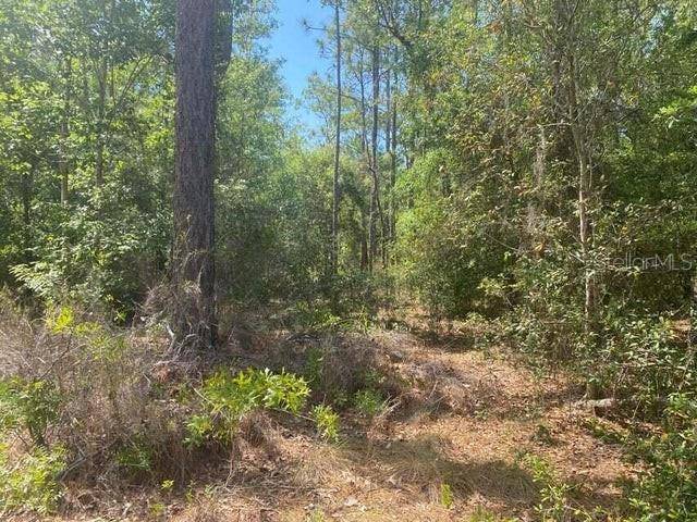 TBD GRENOCK ST, Interlachen, FL 32148