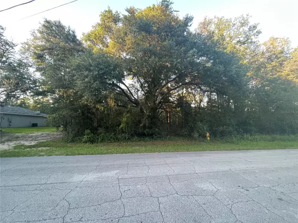 417 E ELGROVE DR, Citrus Springs, FL 34434