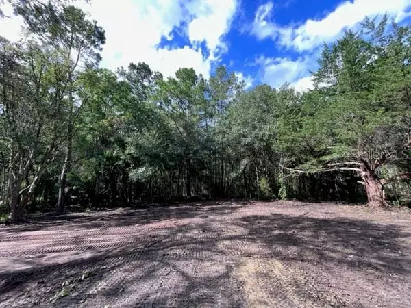 Bunnell, FL 32110,630 QUARTER HORSE LN