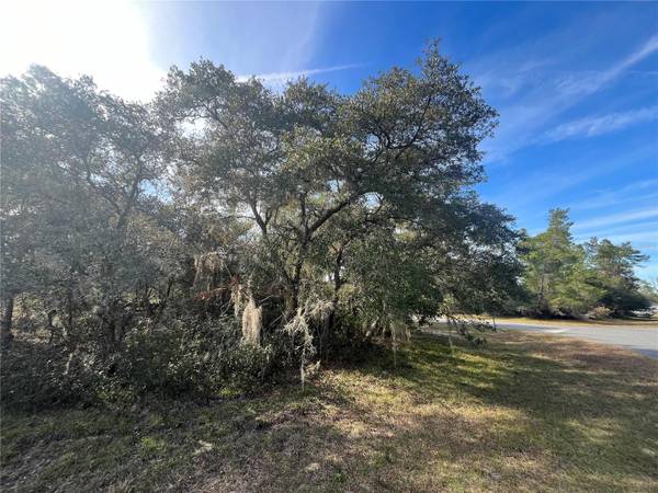 TBD SW 21ST CIR, Ocala, FL 34473