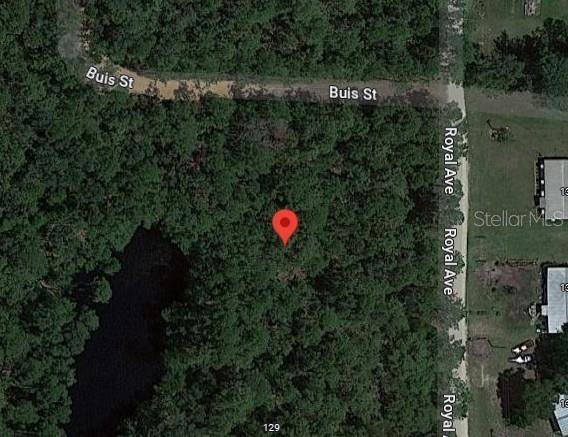 TBD ROYAL AVE, Interlachen, FL 32148