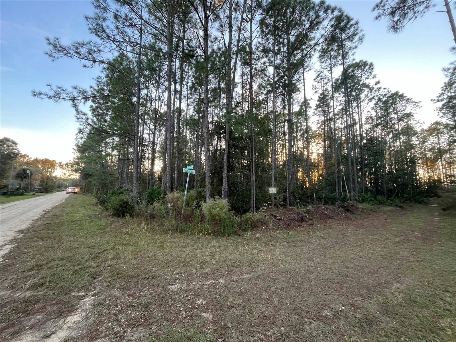 Interlachen, FL 32148,TBD ROYAL AVE