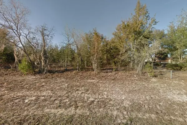 308 3RD WAY,  Interlachen,  FL 32148