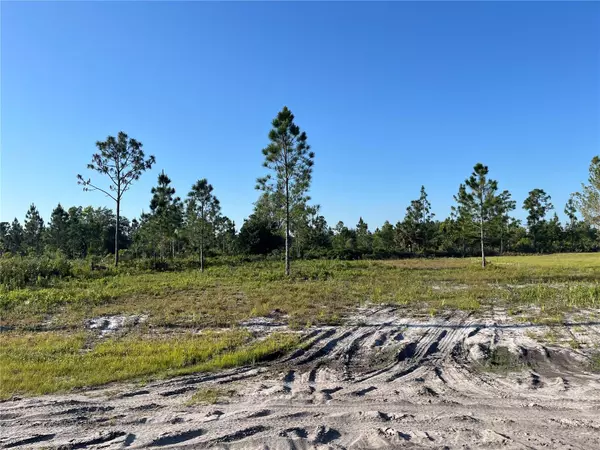 Indian Lake Estates, FL 33855,CALENDULA DR