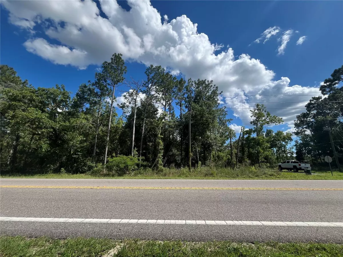 Dunnellon, FL 34432,SW HWY 484