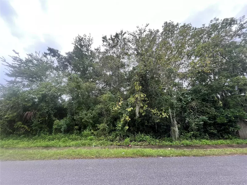 W PALMETTO ST, Palatka, FL 32177