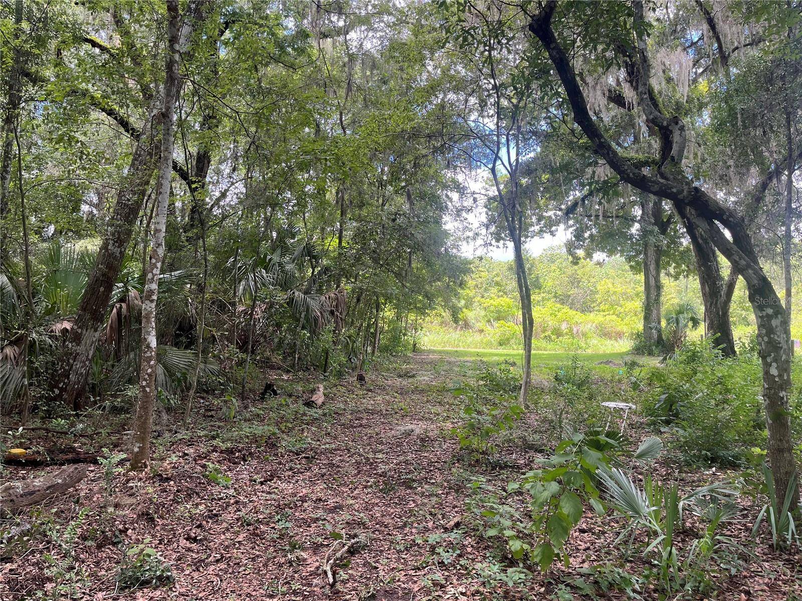 Ocala, FL 34475,65TH ST