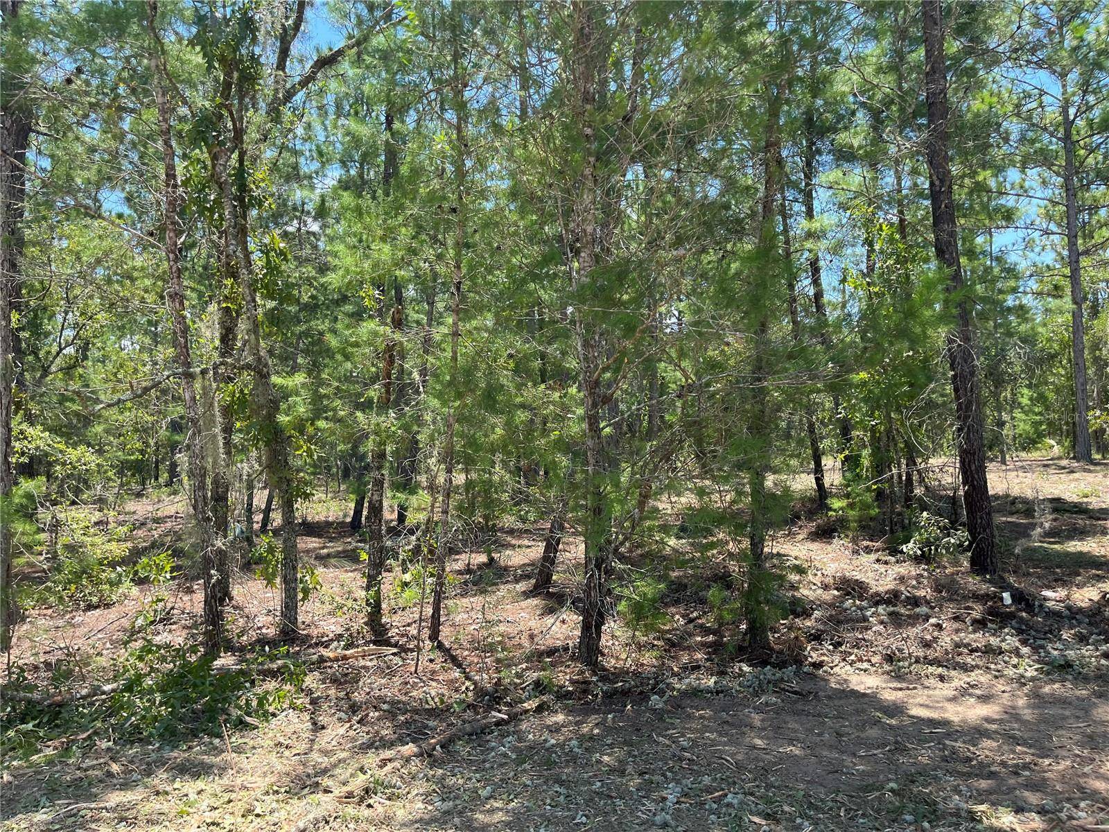 Interlachen, FL 32148,319 HIMALAYAN ST