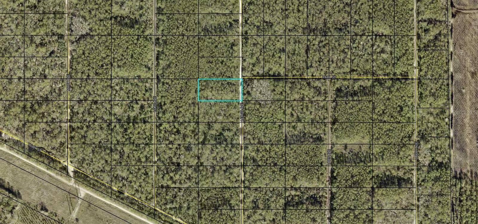 LEROY AVE, Hastings, FL 32145