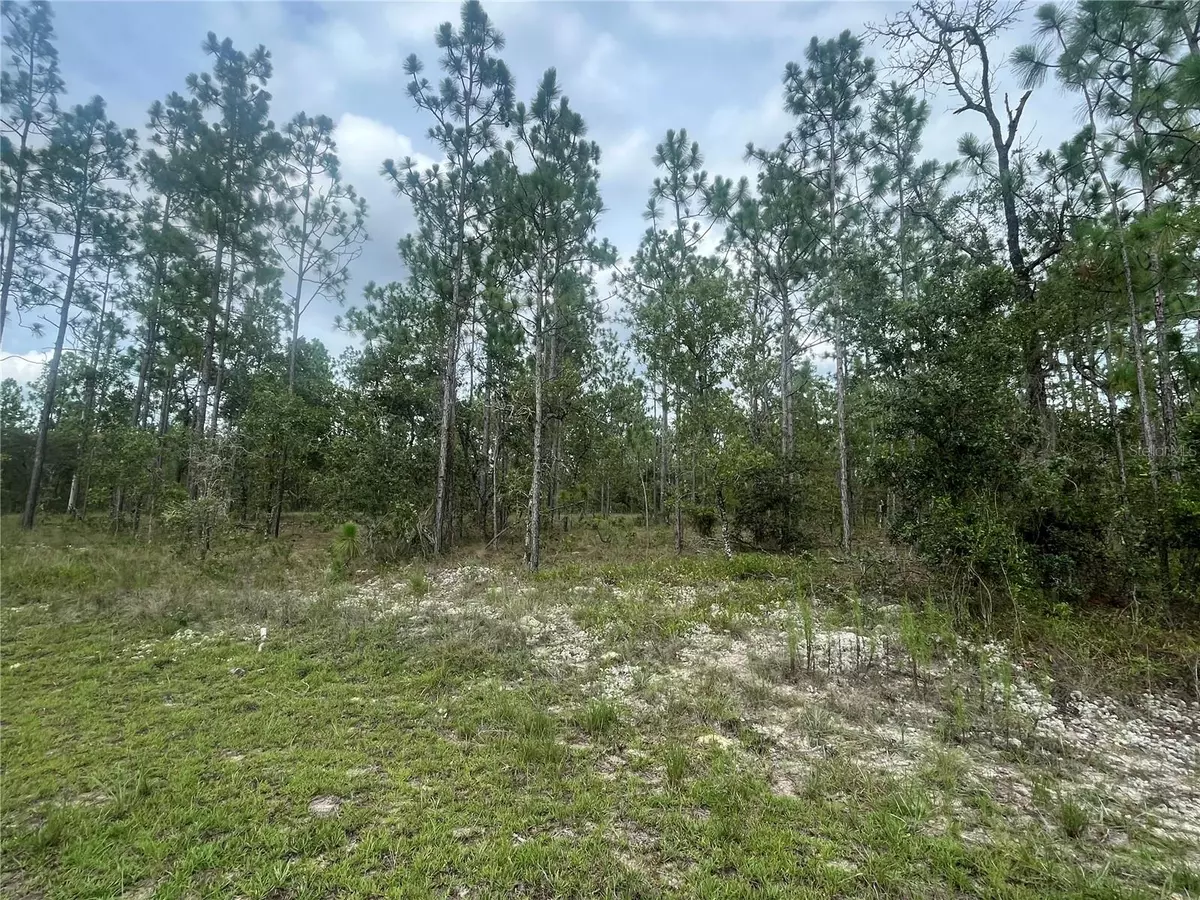 Dunnellon, FL 34431,SE 134TH CT