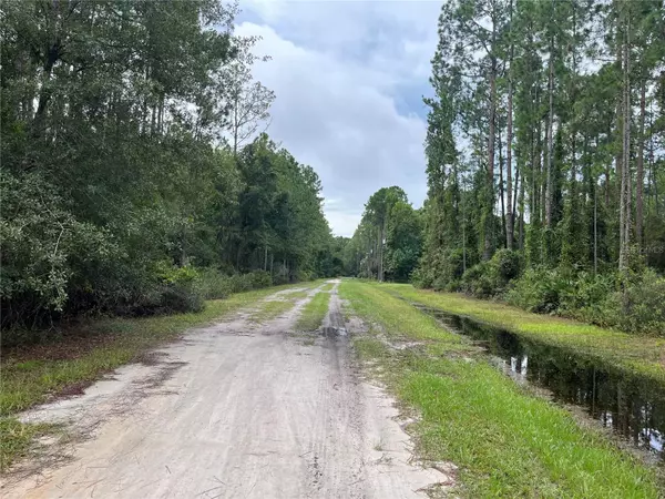 Georgetown, FL 32139,117 MOSSWOOD ST