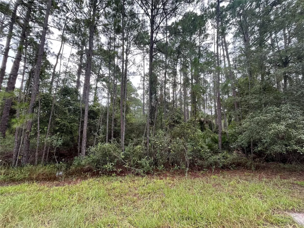 Georgetown, FL 32139,117 MOSSWOOD ST