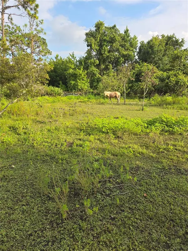 Okeechobee, FL 34972,2301 NW 395TH CT NW