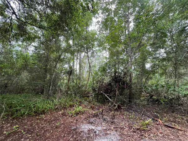 Crescent City, FL 32112,207 WARD AVE