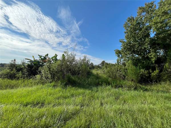 19466 NW 258TH ST, Okeechobee, FL 34972