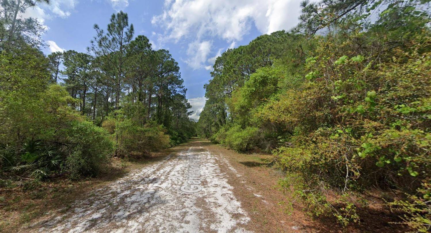 Georgetown, FL 32139,120 GARDENIA AVE