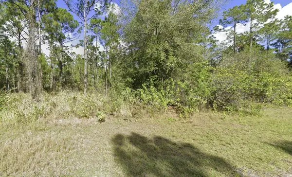 Indian Lake Estates, FL 33855,MAGNOLIA DR