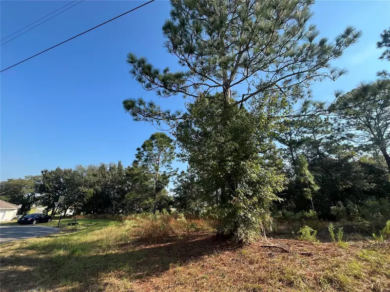 51ST CT, Ocala, FL 34473