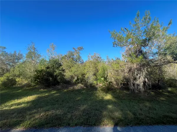 Ocala, FL 34473,165TH LN