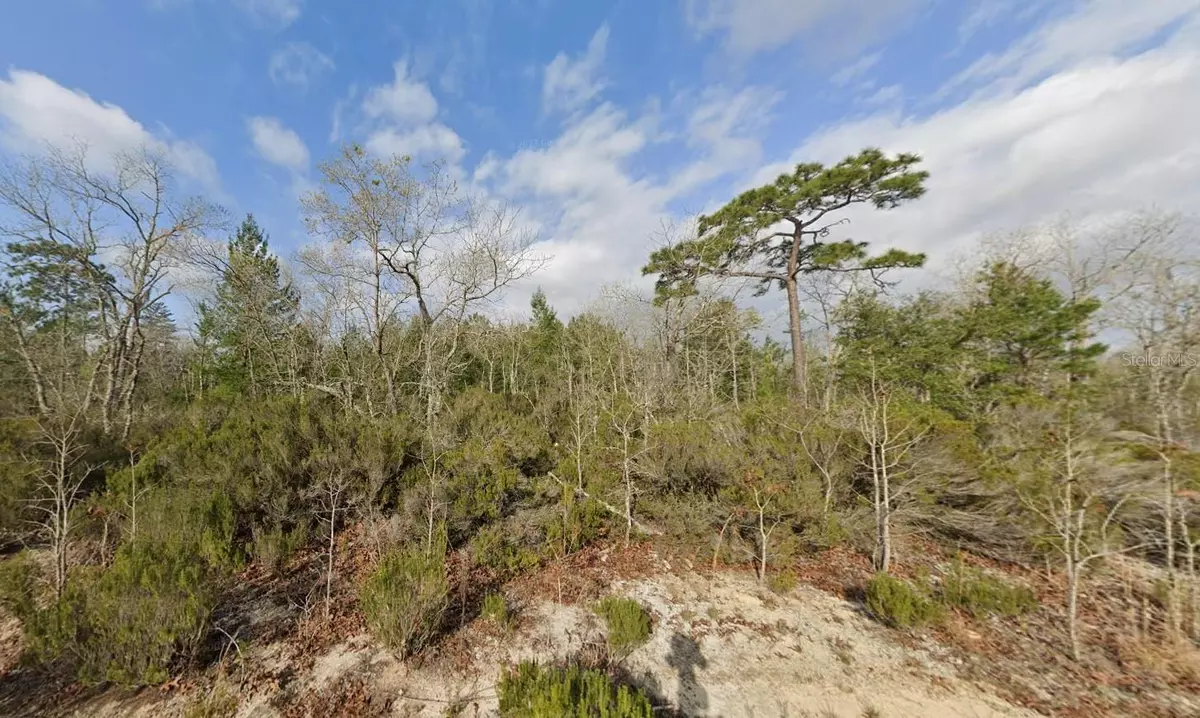 Interlachen, FL 32148,tbd 17TH ST