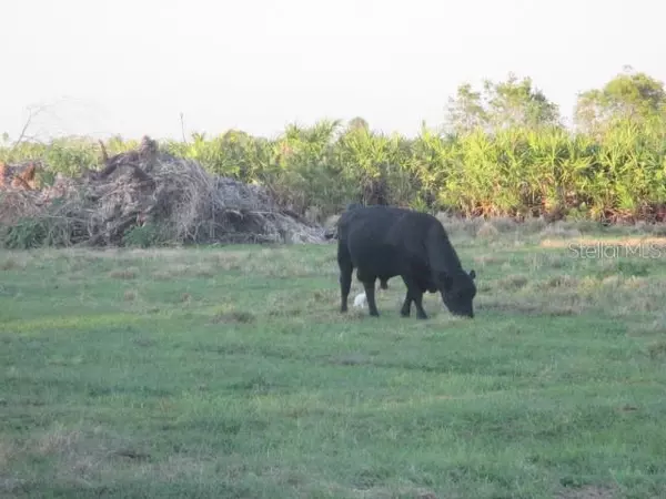 Okeechobee, FL 34972,NW 240TH ST