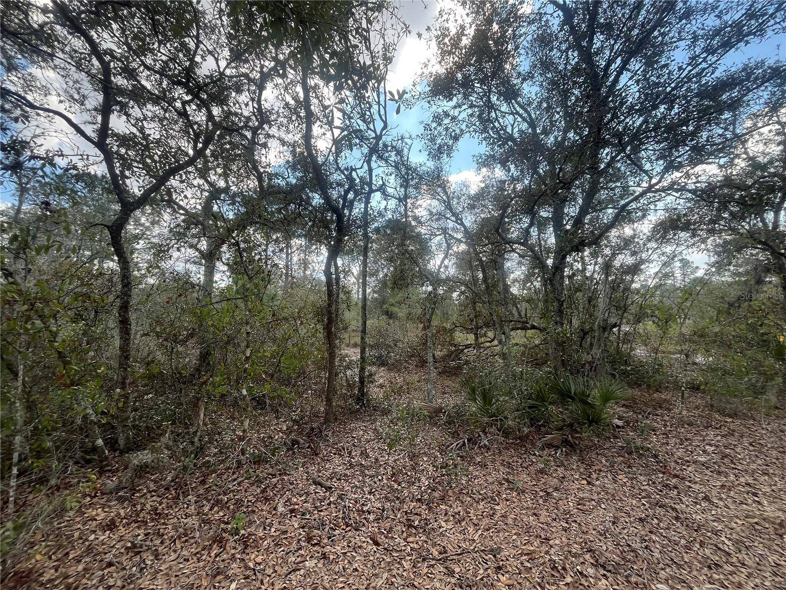 2925 W BANDRA RD, Avon Park, FL 33825