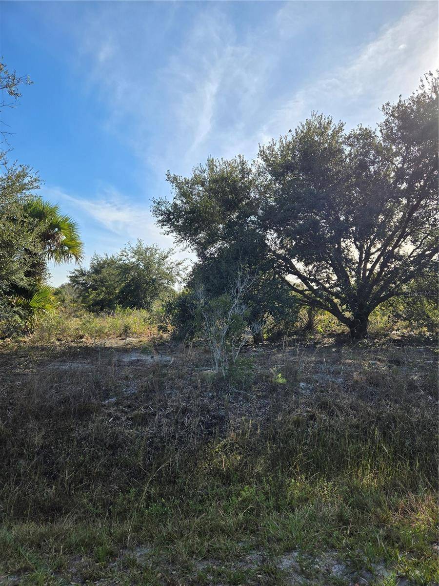 19732 NW 264TH ST,  Okeechobee,  FL 34972