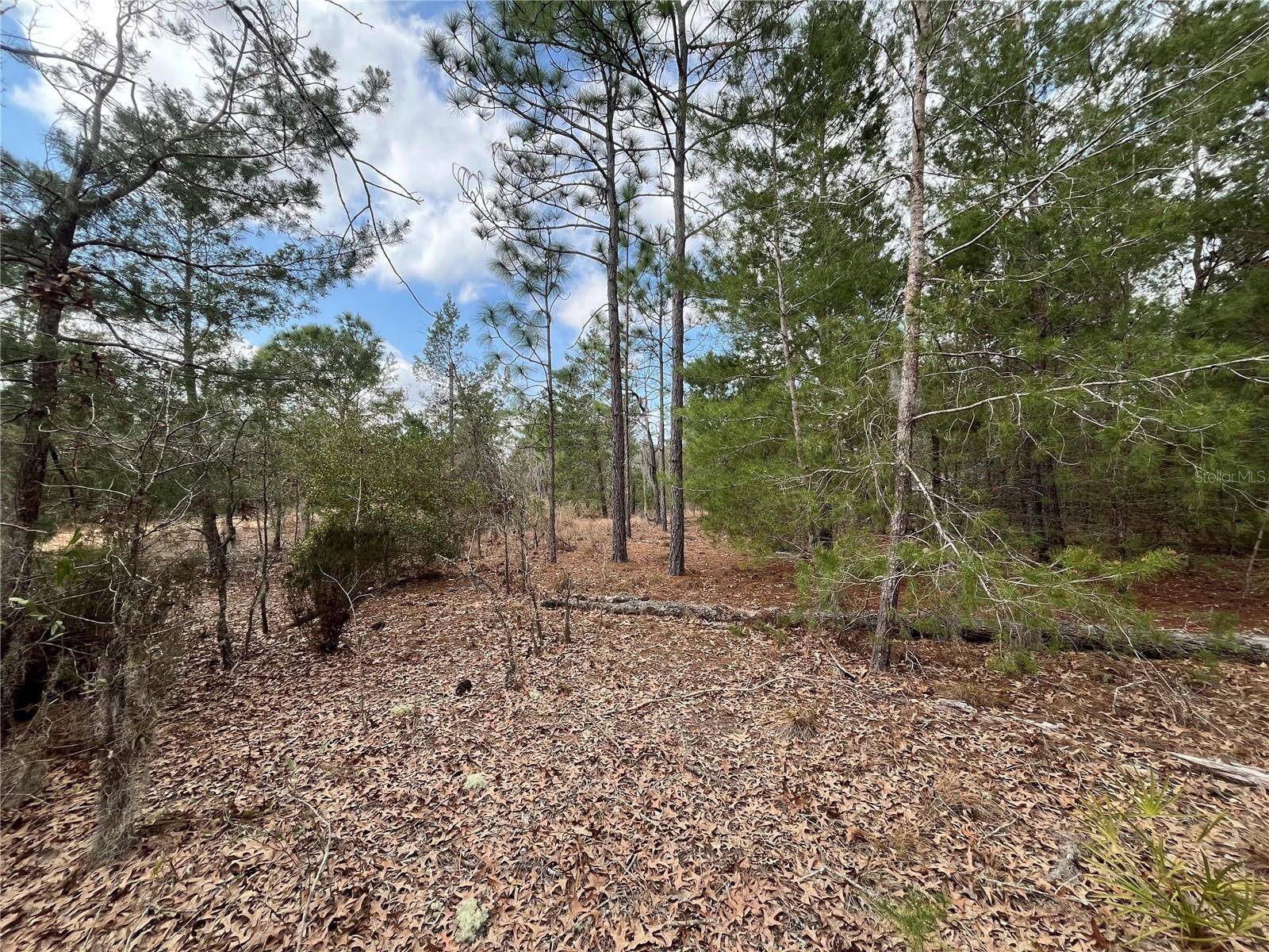 Interlachen, FL 32148,204 GLASGOW ST
