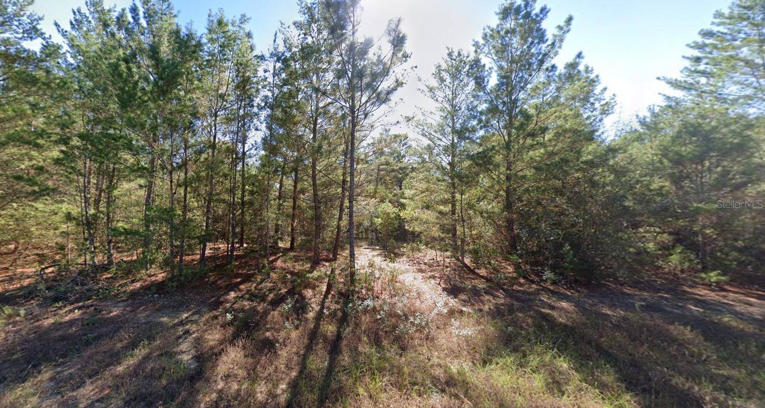 MEREDITH PL, Chipley, FL 32428