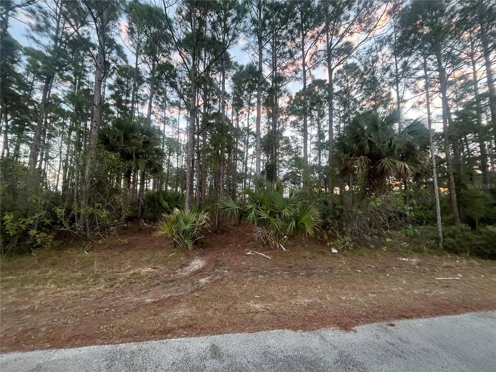 2641 QUINCY AVE SE,  Palm Bay,  FL 32909