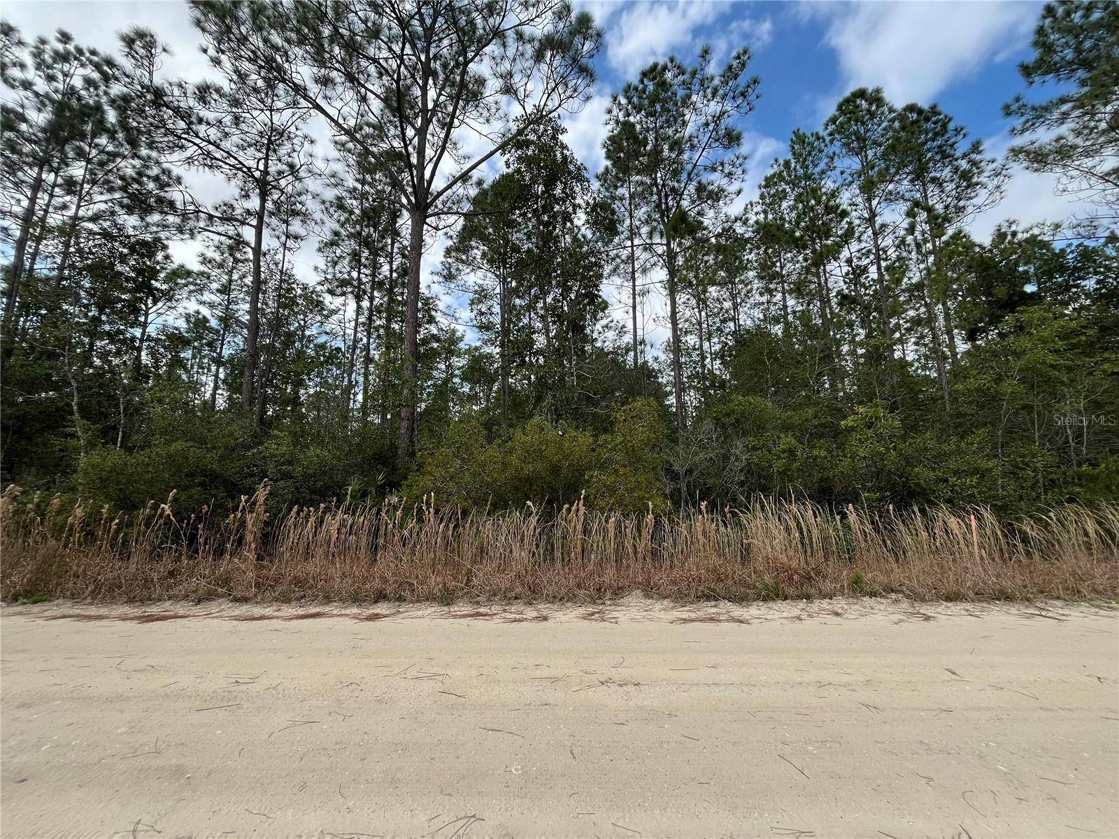 Interlachen, FL 32148,215 ROYAL AVE