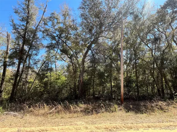 Interlachen, FL 32148,WALKER