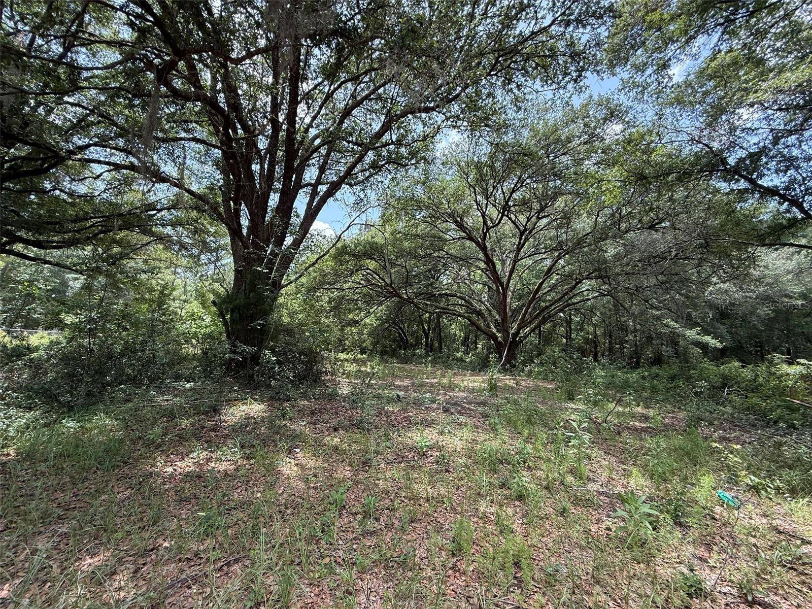 Interlachen, FL 32148,101 JOEL AVE