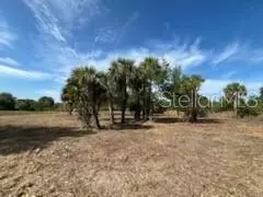 Okeechobee, FL 34972,16642 NW 286TH ST