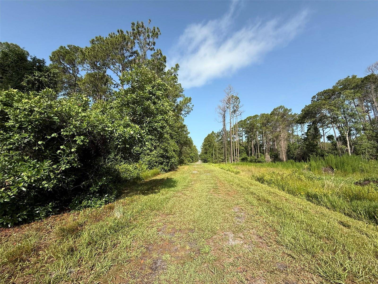 Georgetown, FL 32139,204 HAZEL AVE