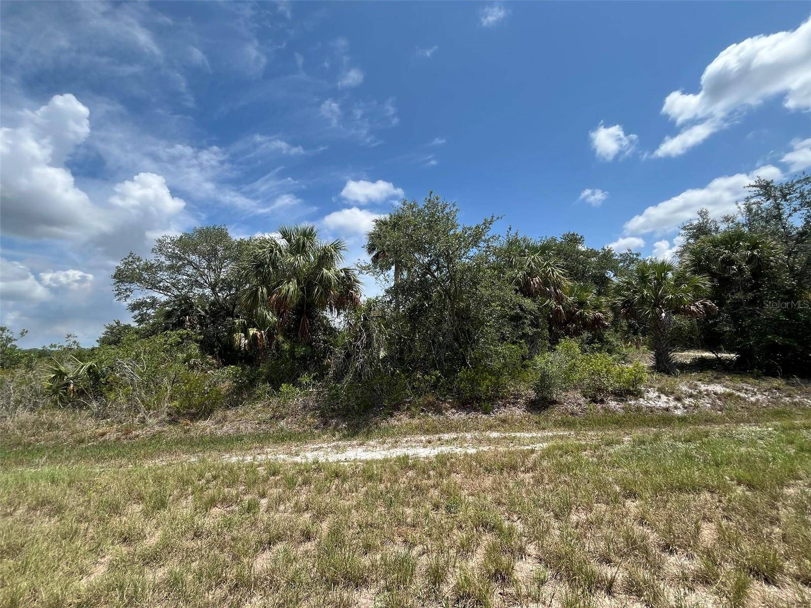15261 NW 294TH ST,  Okeechobee,  FL 34972