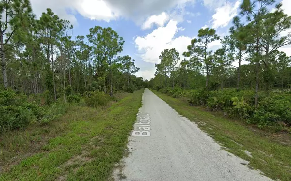 Punta Gorda, FL 33955,27342 BALBOA DR