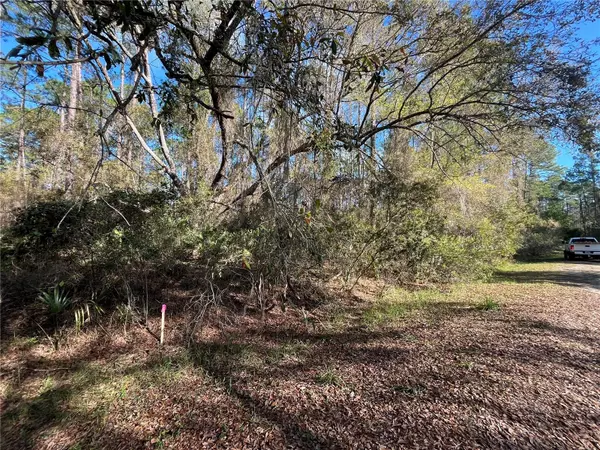 Georgetown, FL 32139,104 SE 5TH ST