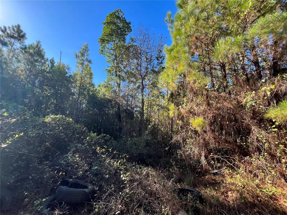 Satsuma, FL 32189,223 MOURNING DOVE RD