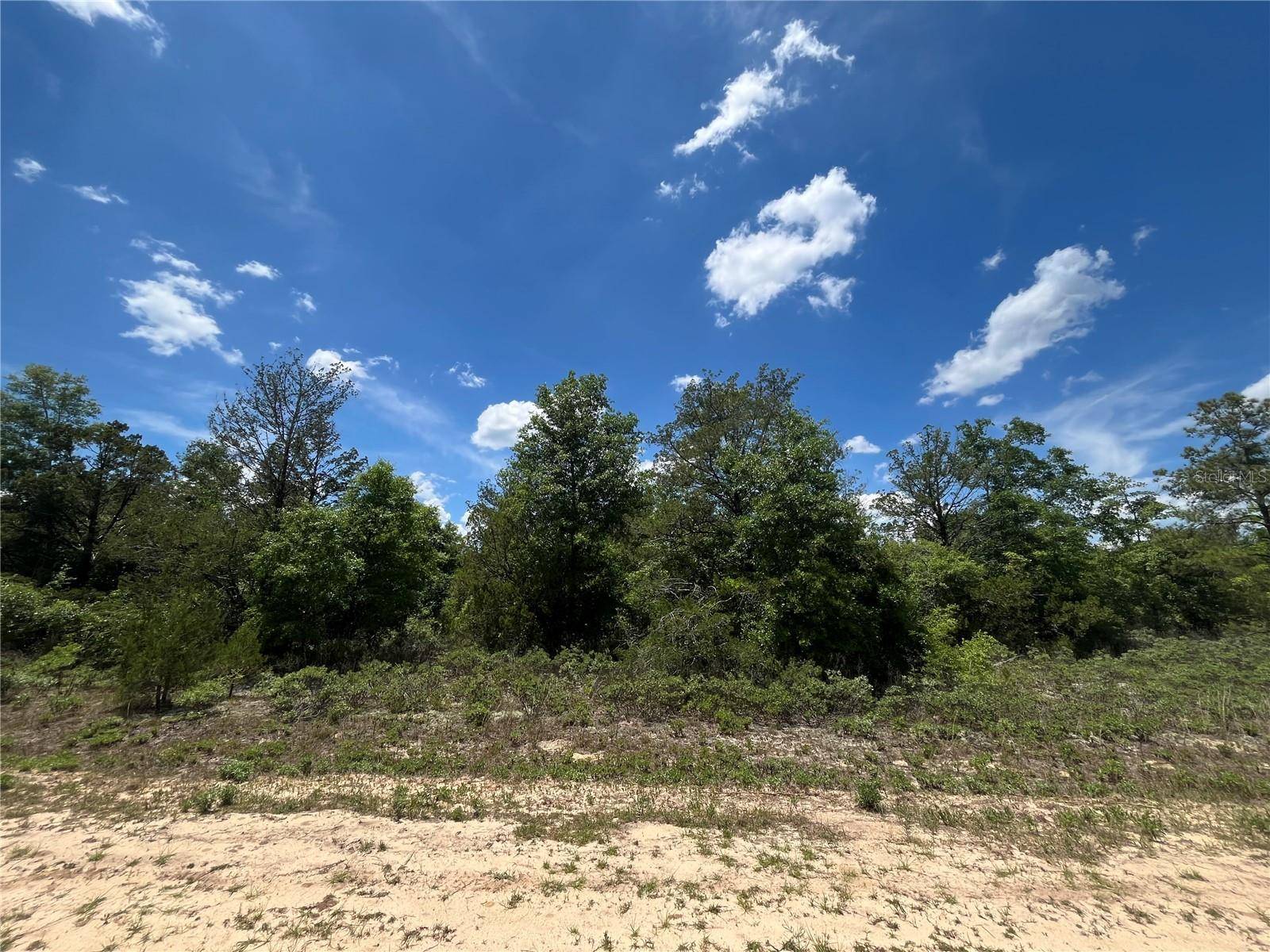 Marianna, FL 32448,TBD MAGNOLIA LN