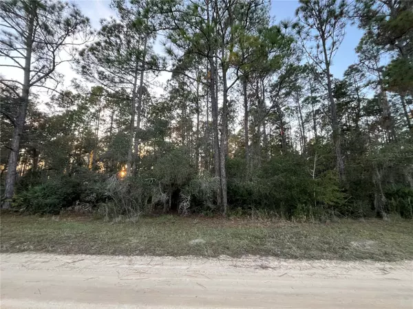 Interlachen, FL 32148,TBD ROYAL AVE