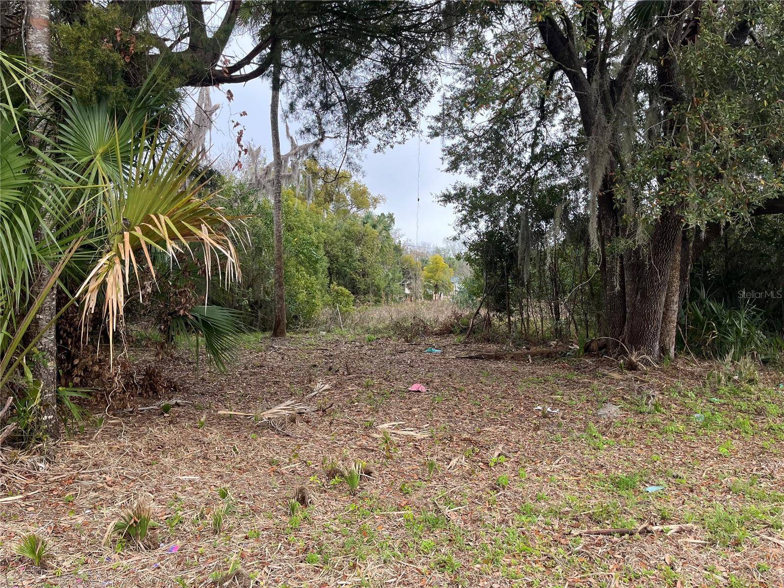 1312 WASHINGTON ST, Palatka, FL 32177
