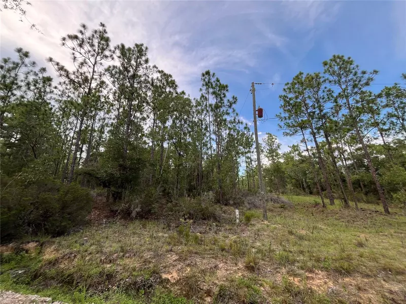 124 NEW YORK AVE, Interlachen, FL 32148