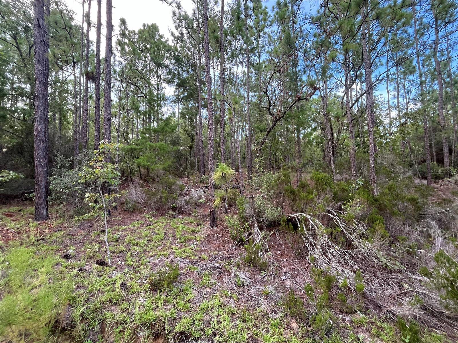Interlachen, FL 32148,124 NEW YORK AVE