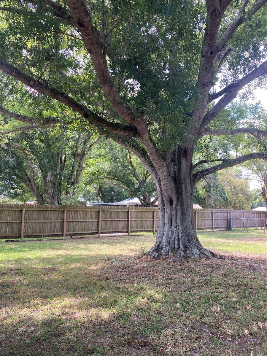 Moore Haven, FL 33471,1214 ALLIGATOR RD