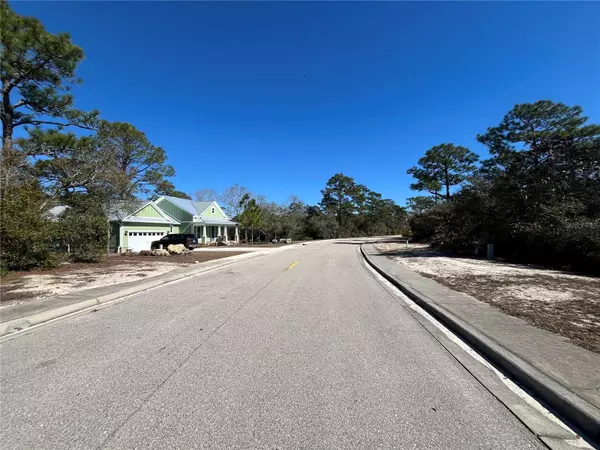 Carrabelle, FL 32322,394 ROYAL TERN WAY