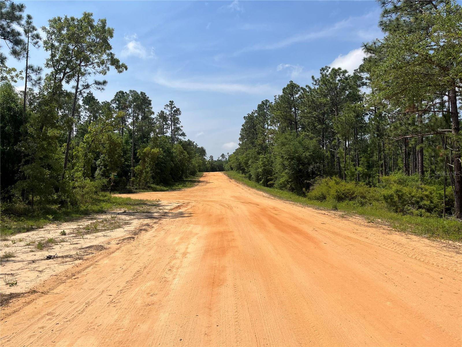 Alford, FL 32420,HOLLY SPRINGS AVE