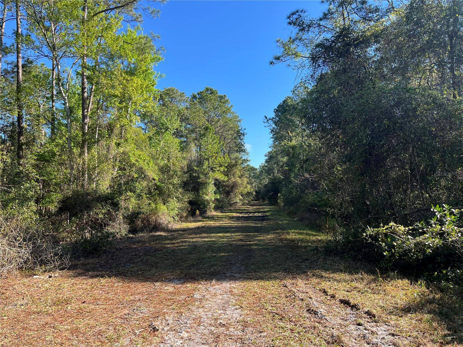 208 SE 3RD ST, Georgetown, FL 32139